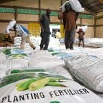 fertiliser and food supply