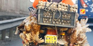 dnchicken0703