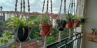 IMG_20230422_093632_165