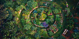 PhysicGarden