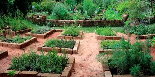 BdPhysicGardenl