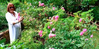 BdPhysicGarden