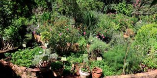 BdPhysicGardeni