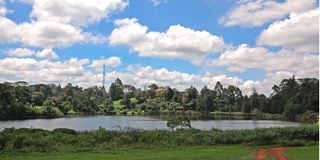 BDLTigoniLakehouseob