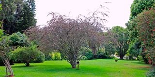 BDLTigoniLakehousea (1)