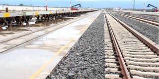 DNNaivashaDeport1701qe