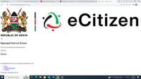 e-citizen