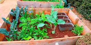 BDLZipoGardenpot