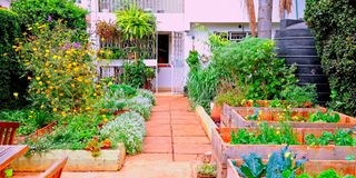 BDLZipoGardenlk