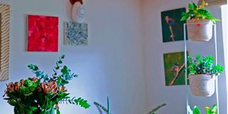 BDLZipoGardene