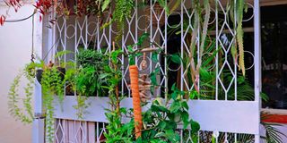 BDLZipoGardena