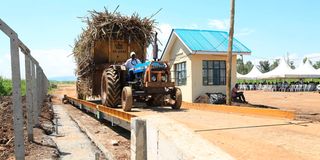 DNKsmWEIGHBRIDGE0906(4)