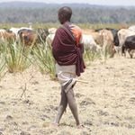 DNLAKEOLBOLOSAT1303a