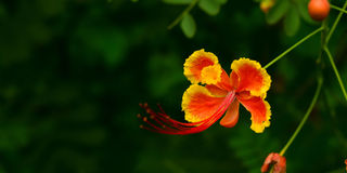shutterstock_2301245143