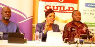 dnmediafreedom1303jk