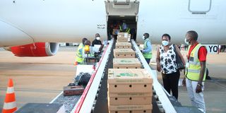 DN Cargo Flight 0901_5