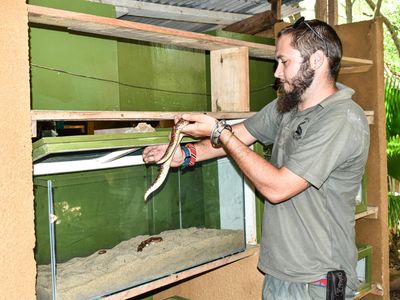 The man who is most at home at a snakes farm