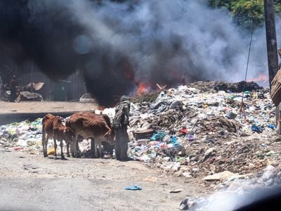 Garbage collection cost to rise as Nema bans plastic bags for organic waste