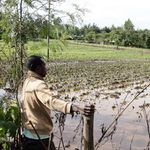 A flooded farm in Kamwaura village after a heavy downpour along the Elburgon-Njoro road
