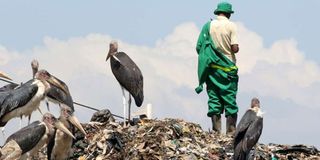 pollution
