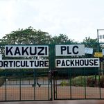 KAKUZI