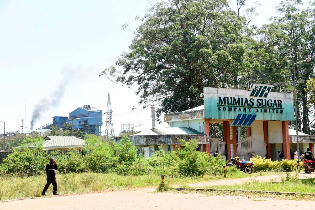 Investor presses CMA for Mumias freeze answers - Business Daily