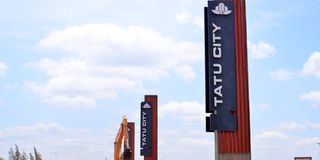Tatu City 