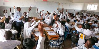 Grade 10 learners 