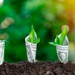 BDCARBONCREDITS
