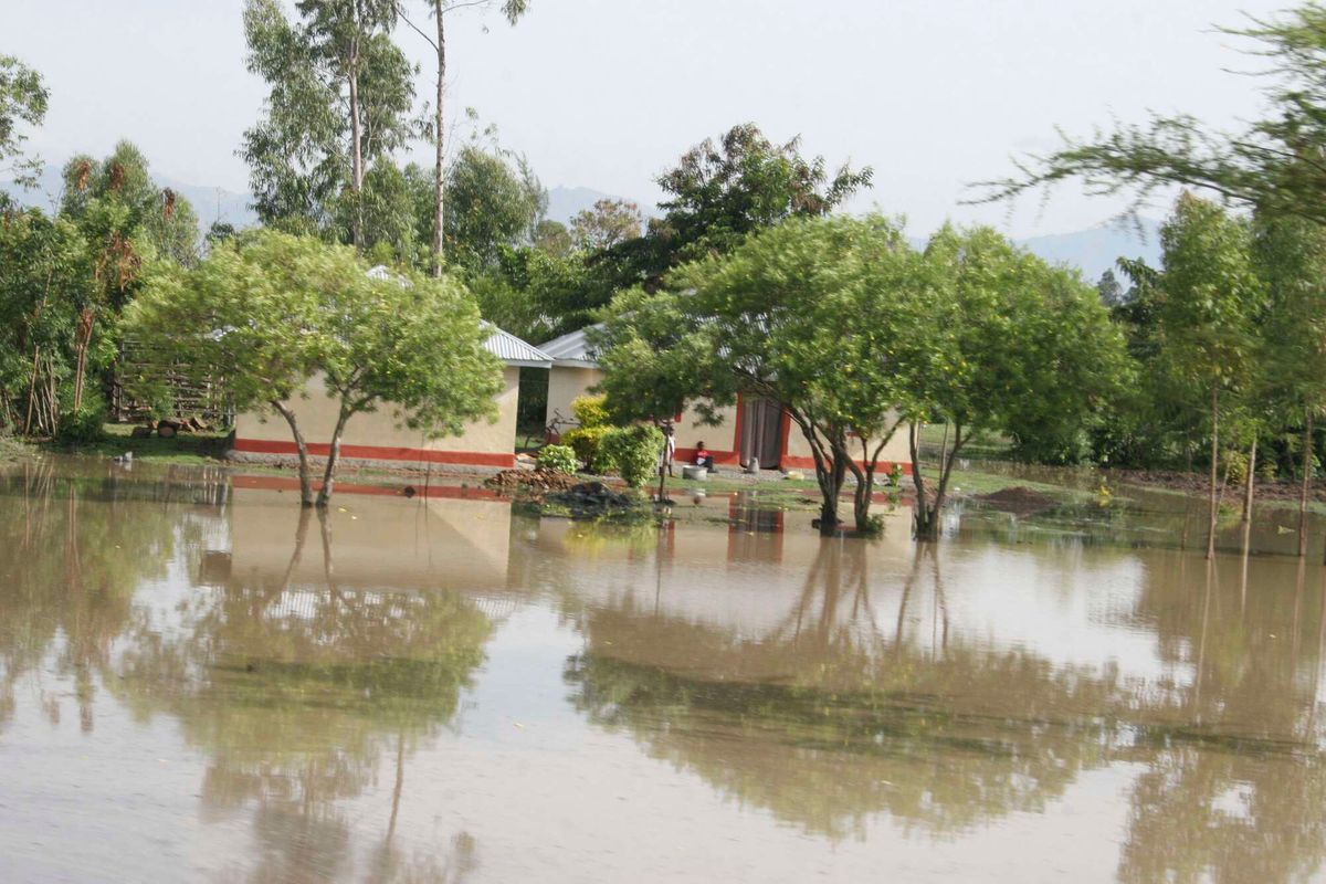 El Niño won’t just flood roads, it could switch off your business