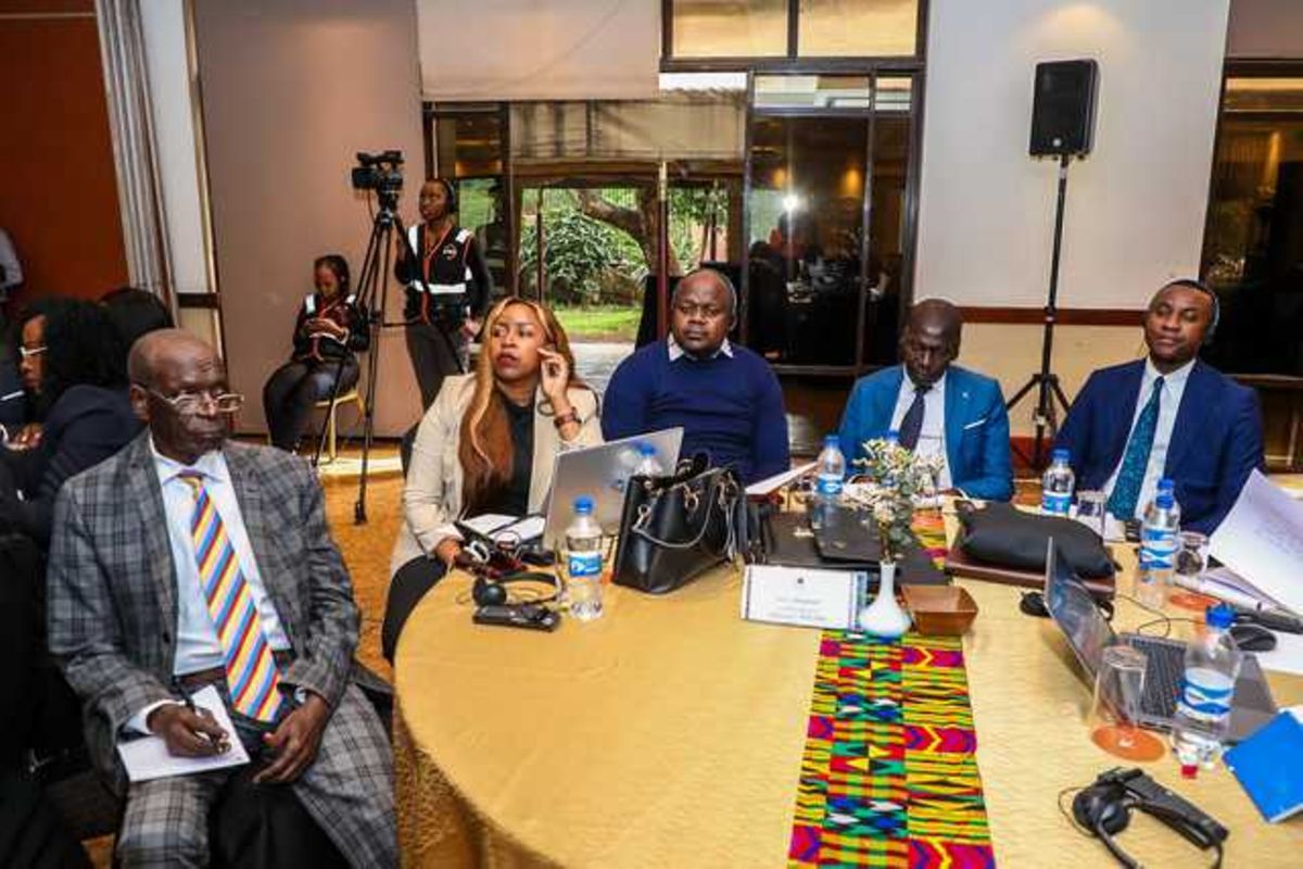 Structure de révision accélérée des fusions de Comesa - Business Daily