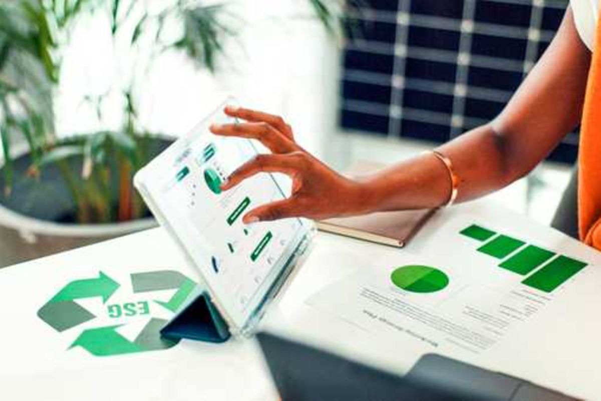 Delivering value for your firm by balancing sustainability tensions - Business Daily