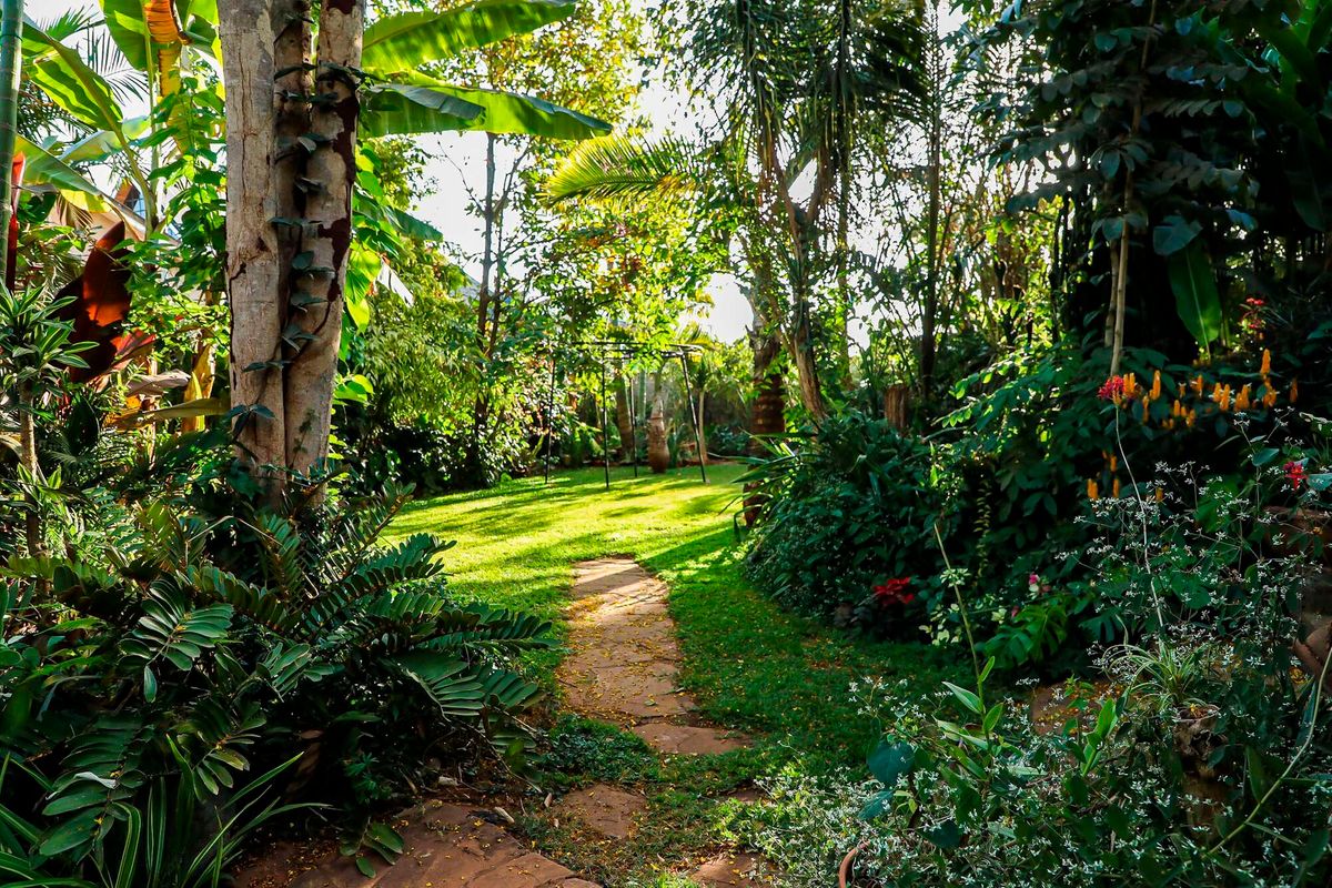 Inside a 500 species collector’s garden - Business Daily