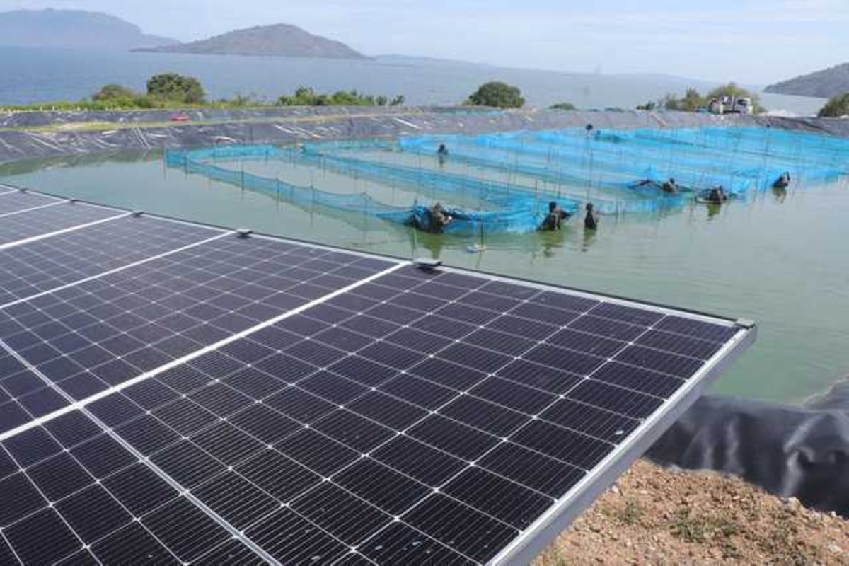 Laissez à l'Afrique une plus grande part de l'énergie propre
