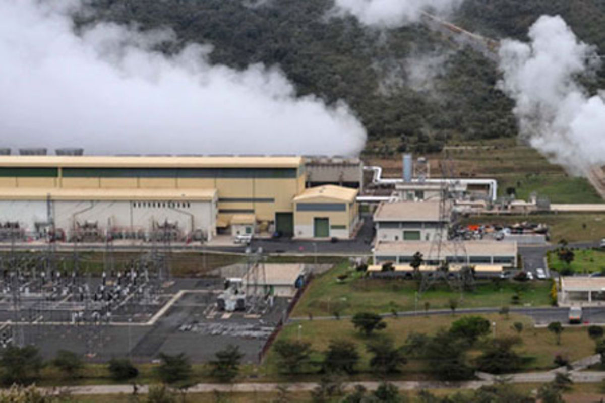 KenGen risks losing Olkaria wells over 18-year licence blunder