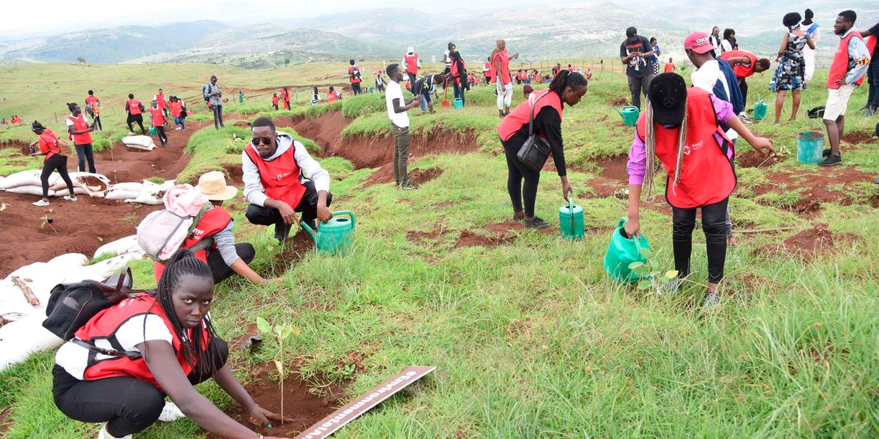 Capipala Philanthropy can unlock more capital for business impact - Business Daily