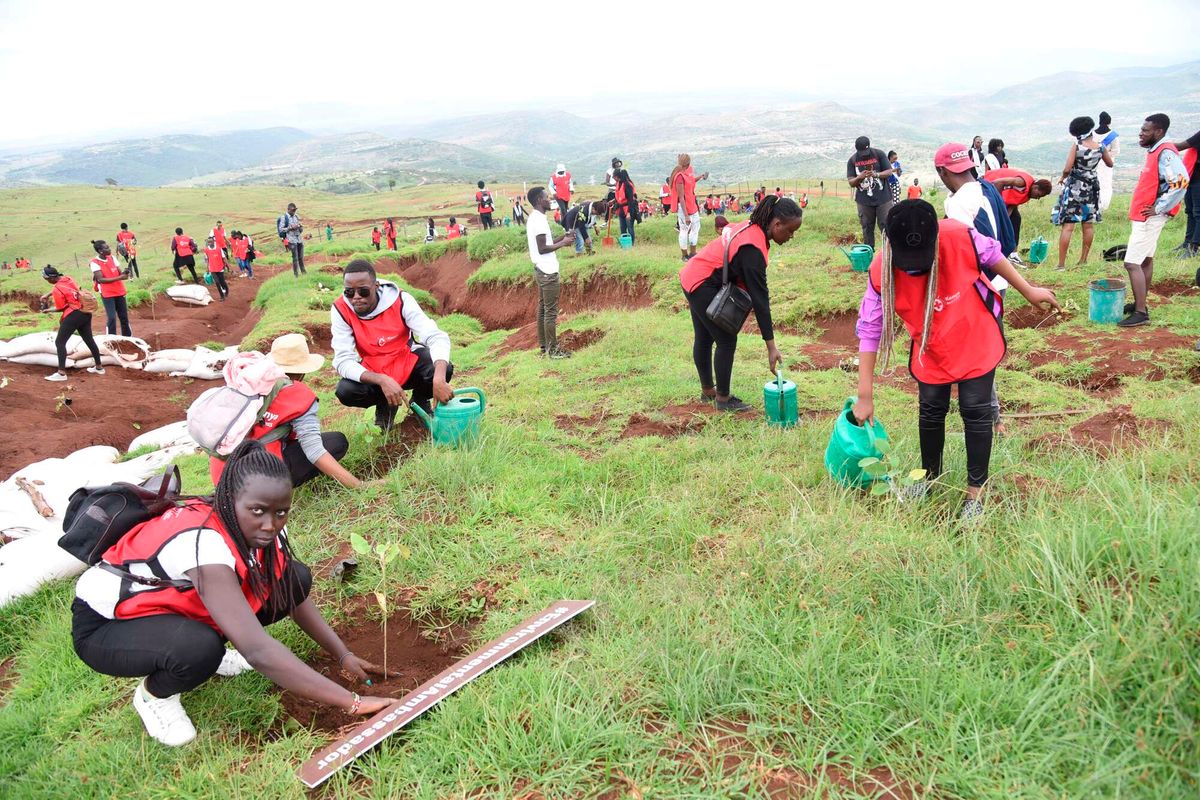 La philanthropie peut mobiliser davantage de capitaux pour les entreprises à impact