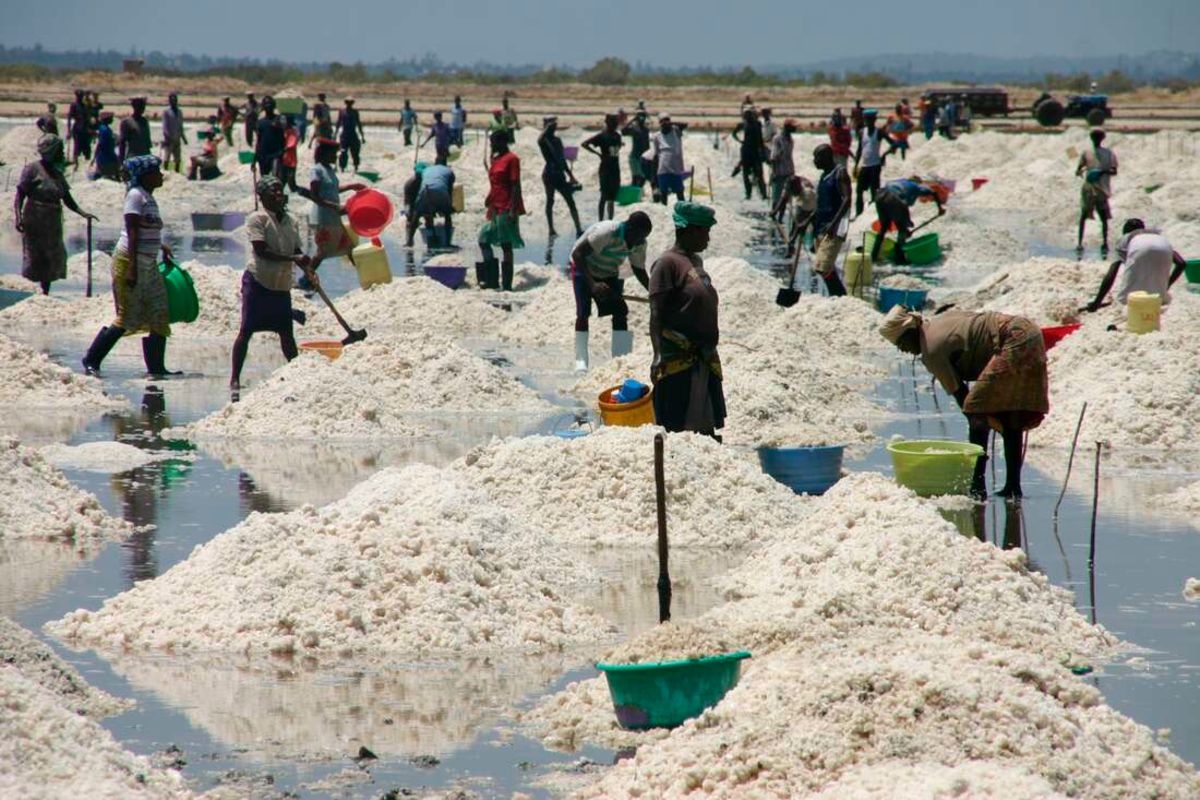 Soda ash and gold top royalty earnings after Base Titanium exit