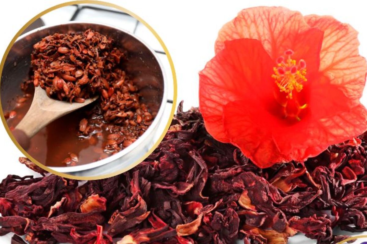 Hibiscus tea craze: Can it really lower blood pressure?